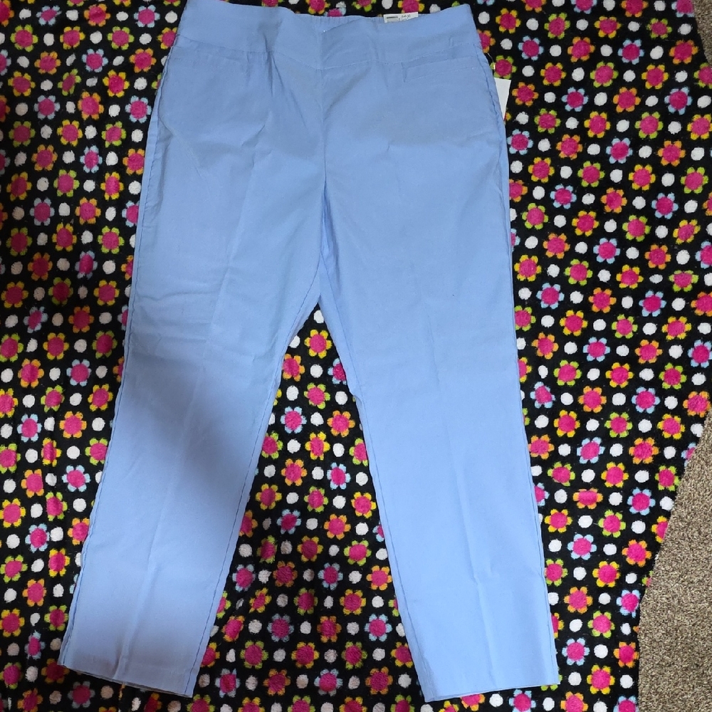 Kim Rogers Millenium Straight Tummy Control Trousers  nwt